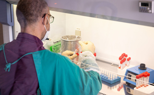 Guyane: des élus refusent un essai thérapeutique contre le coronavirus