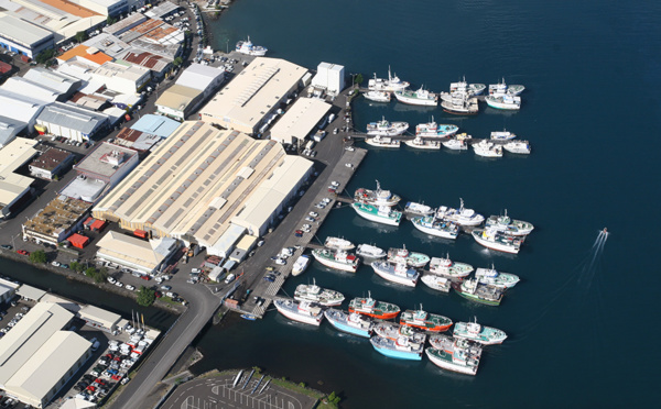 Le projet d'aménagement du port de pêche émerge enfin 