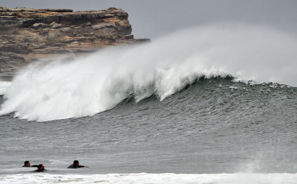 Un jeune surfeur tué par un requin en Australie