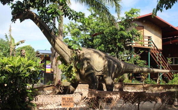 Drôles de rencontres à Moorea