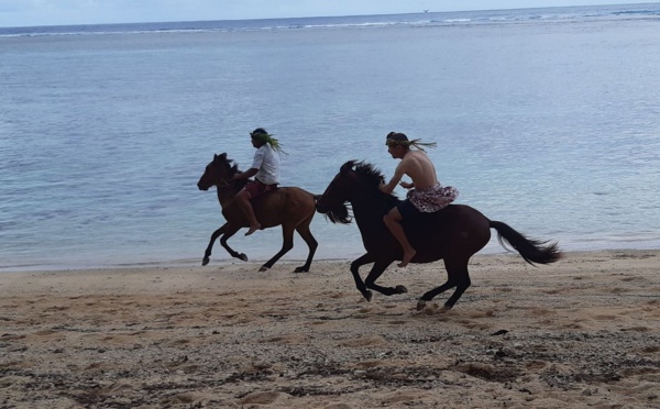 Des chevaux en guise de Heiva