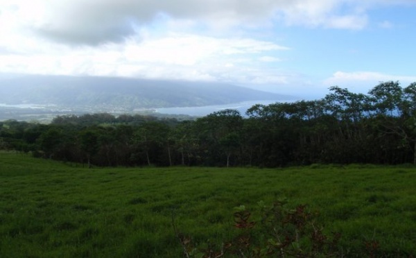 Secours en montagne pour deux personnes perdues sur le plateau de Taravao