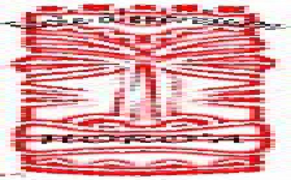 L'association Horo'a propose une Journée récréative au Rainbow Park spéciale Halloween et un Stage vacances