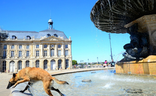 La moitié de la France en alerte canicule