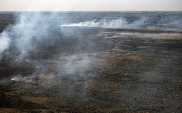 Argentine: le delta du Parana en proie à des incendies sans précédent
