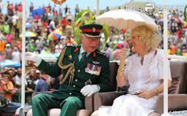 Charles et Camilla en Australie: cricket et course hippique