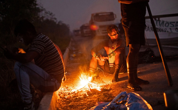 En Amazonie, déforestation et impunité attisent les feux