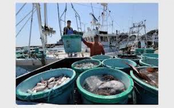 Lutte contre la pêche illicite : Bruxelles met en garde Fidji et Vanuatu