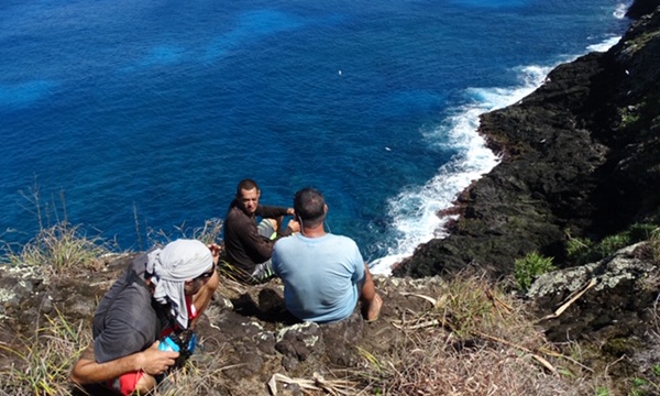 Les oiseaux de retour grâce à MANU
