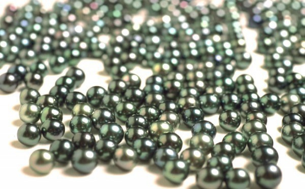 Vente aux enchères internationale de perles de culture de Tahiti