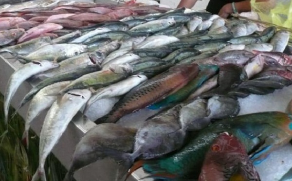 Pêche : 2011 confirme une reprise des exportations
