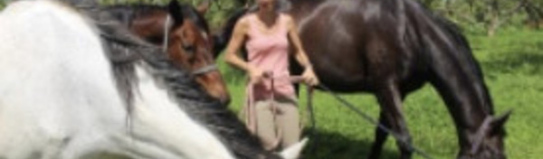 L'équicoaching, pour être bien dans ses sabots
