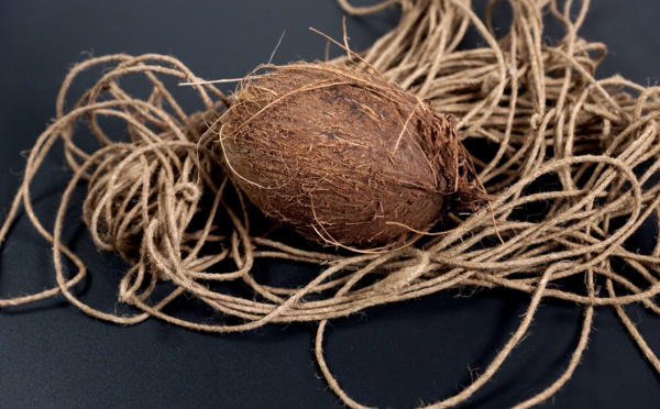 Cocorig : la fibre de coco pour sortir du lagon des kilomètres de plastique