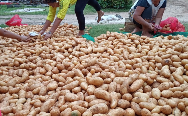 ​Les Australes gardent la patate