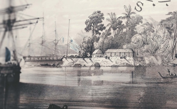 Naviguer aux étoiles à la bibliothèque universitaire