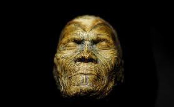 Retour de Californie pour des têtes Maori