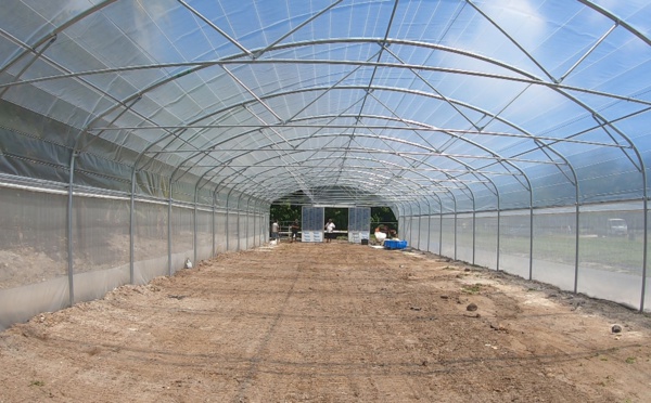 Des projets pilotes pour l'agriculture