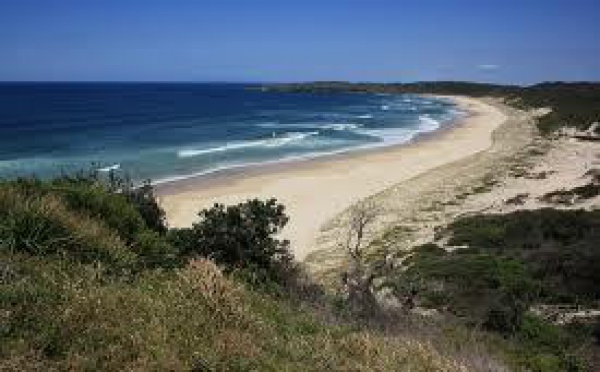 Un nageur attaqué par un requin sur la côte Est australienne