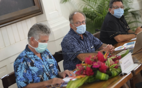 Sortie d'épidémie estimée en mai 2021, avec un pic en janvier