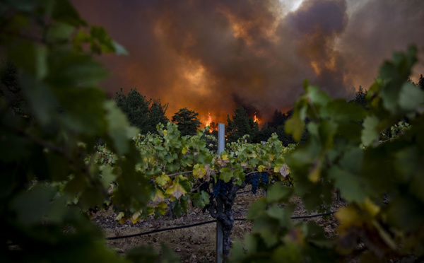 Californie: les célèbres vignobles de la Napa Valley en proie aux flammes