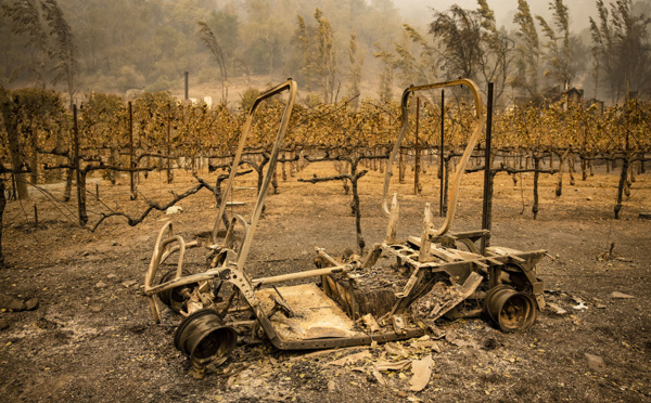Incendies en Californie: une quatrième victime, les domaines viticoles durement touchés