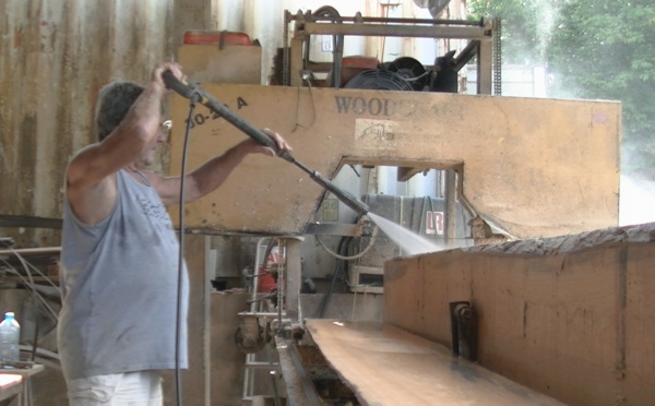 Le bois à la cote aux Raromata'i