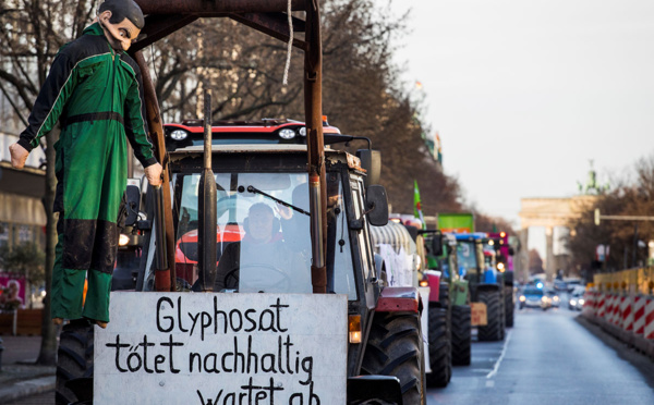 L'Anses restreint les usages agricoles du glyphosate