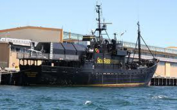 Les pays anti-pêche à la baleine appellent les militants au pacifisme