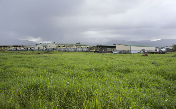 En Guadeloupe, la question foncière au coeur de nombreux conflits