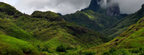 Desserte aérienne, les Marquisiens s'interrogent