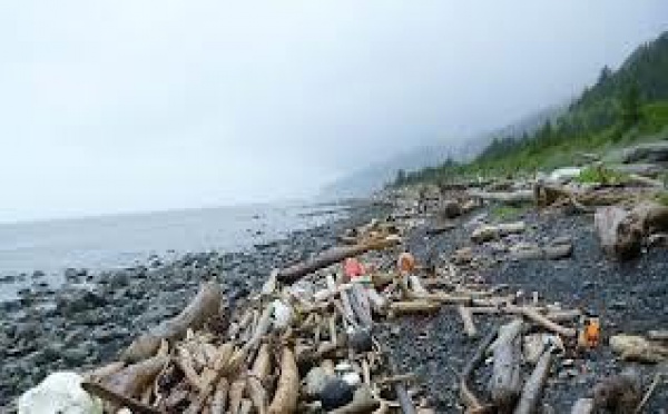 Séisme de 7,5 et tsunami au large de l'Alaska