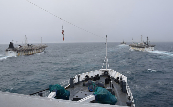 Quatre pays sud-américains s'allient contre la pêche illégale dans le Pacifique