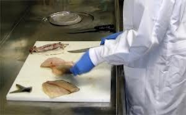 Fukushima: un poisson présente un niveau impressionnant de radioactivité