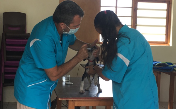 ​Un véto engagé aux Marquises