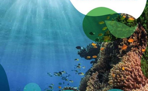 Kiwa : 4 milliards contre le changement climatique