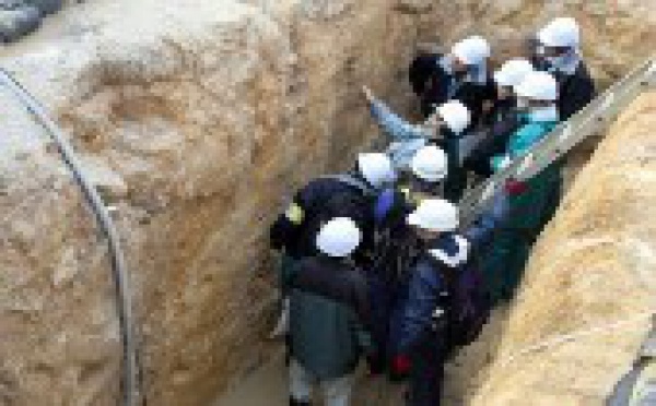 Japon: prudence du régulateur sur la présence d'une faille sous une centrale