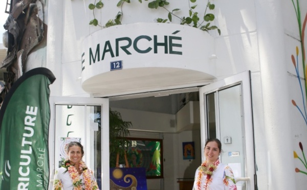 Artistes, artisans et producteurs exposent chez Art’griculture