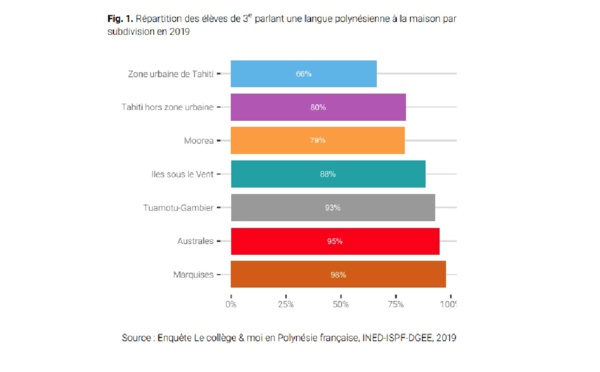 Les élèves de 3ème férus de langues polynésiennes