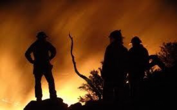 Lutte contre les feux de forêts : nouvelle mission française en Australie