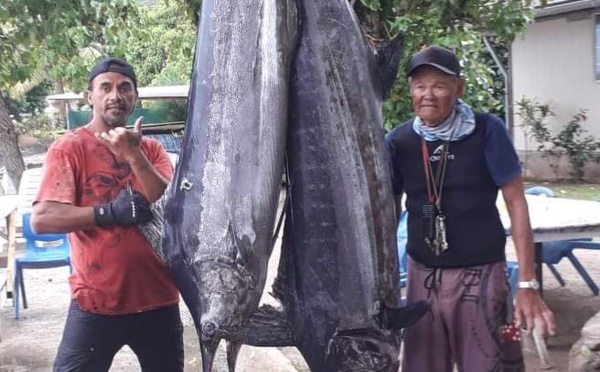 Des marlins enchanteurs aux Gambier