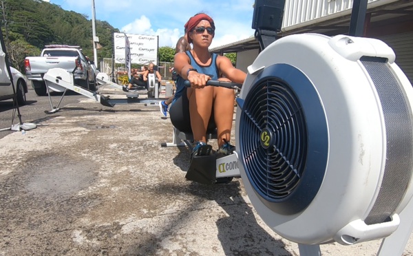 ​Cours sur le net et locations pour survivre