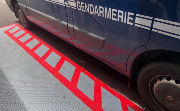 Chronique de la violence domestique