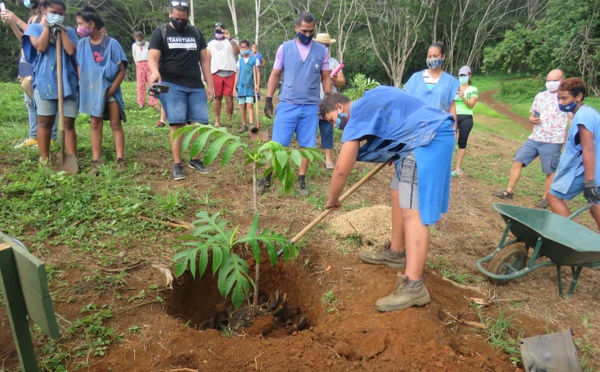 Un jardin citoyen en création