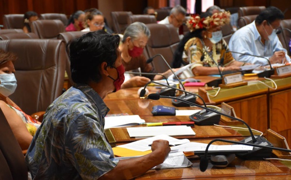 Textes sur le transport aérien : Le Cesec "désapprouve la forme" et refuse de se prononcer