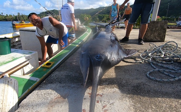 Un ha'urā de 228 kg pour un jackpot de 880 000 Fcfp