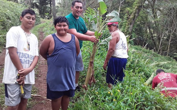 ​Trois projets culturels pour Opunohu