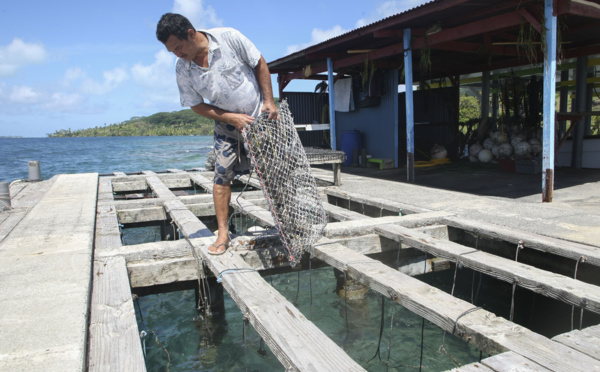 Déchets perlicoles : nettoyage des lagons en perspective