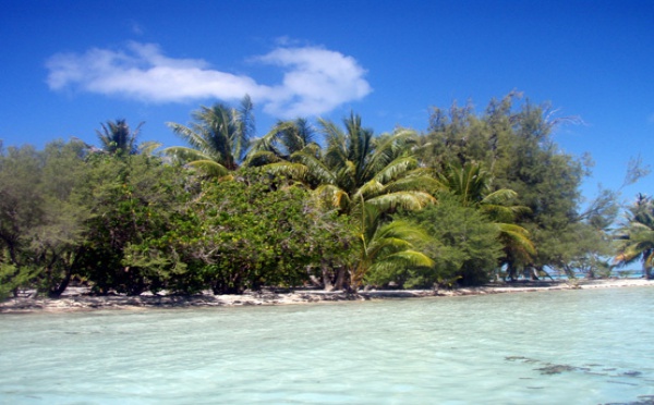 Bora Bora : 45 jours d’ITT sur fond de litige foncier
