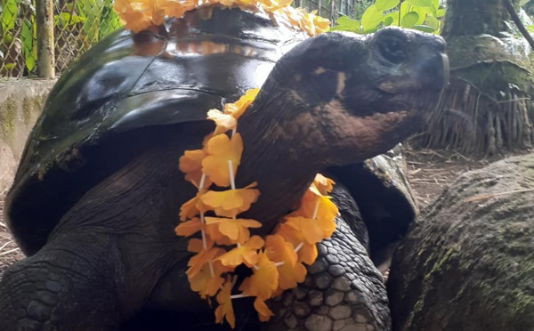 Te Ara Ui a fêté ses 193 ans à Papeari