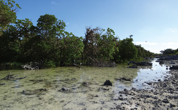 Le gouvernement présente sa stratégie d'aires protégées